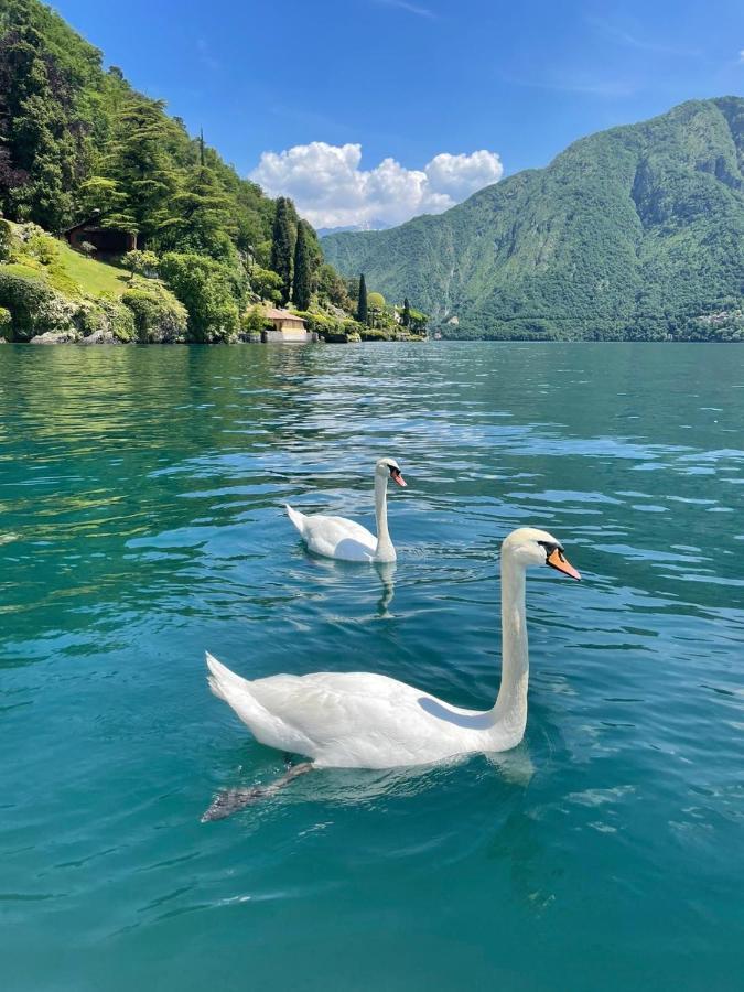 Casacamelia 35, 3 Bdrm With View Lake Como Lejlighed Acquaseria Eksteriør billede
